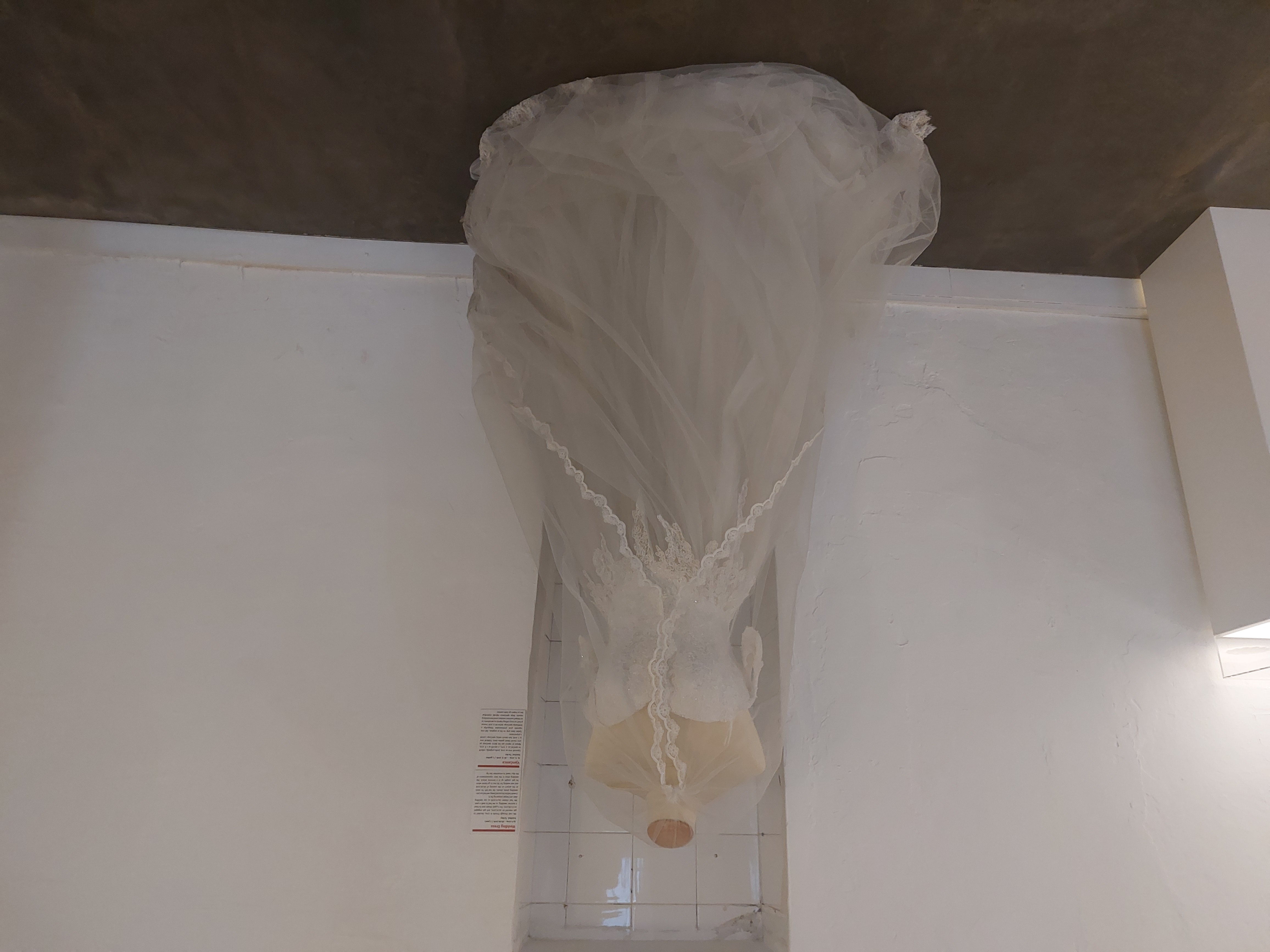Rochie de mireasă: 19.11.2014 - 28.06.2016