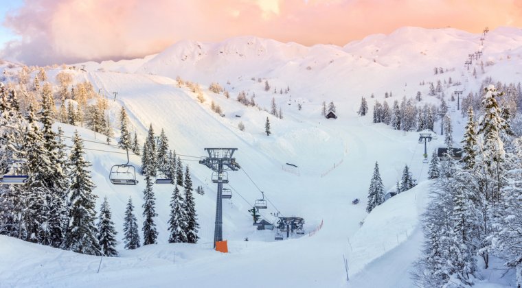Vogel, Slovenia