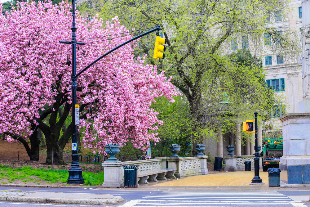 6. Prospect Park in Brooklyn (New York), SUA