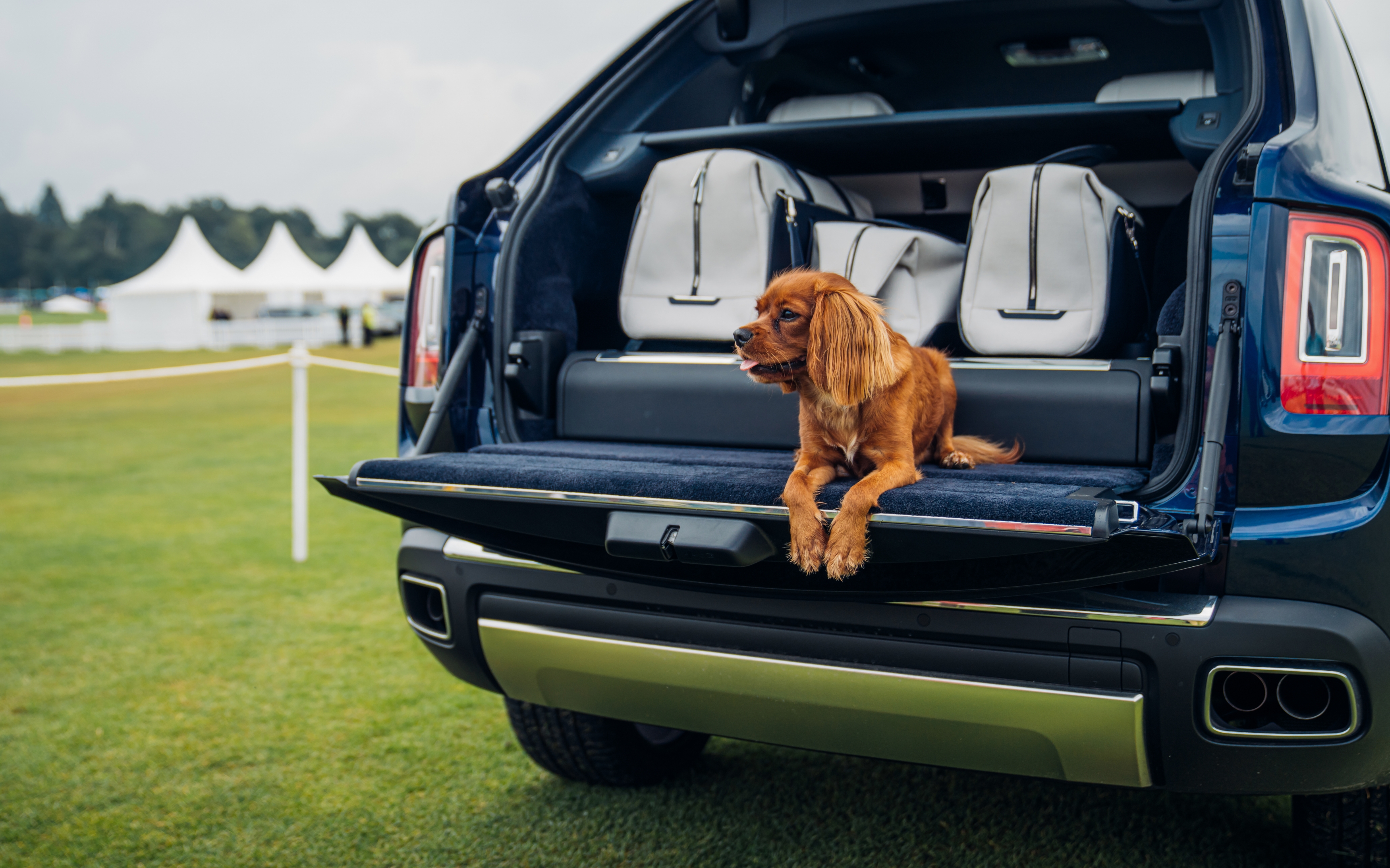 Rolls-Royce Cullinan - 11 exemplare