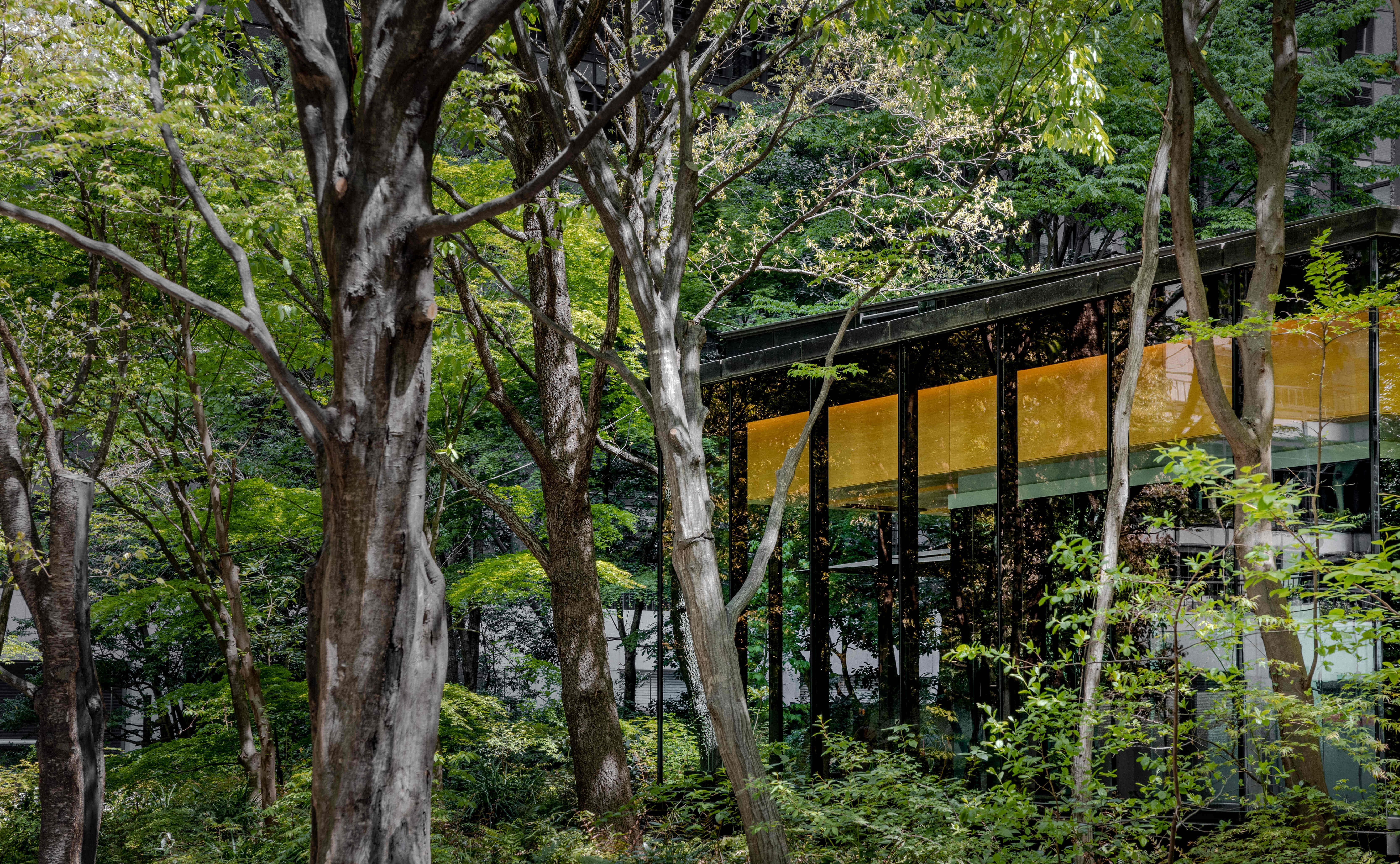 Aman, Japonia