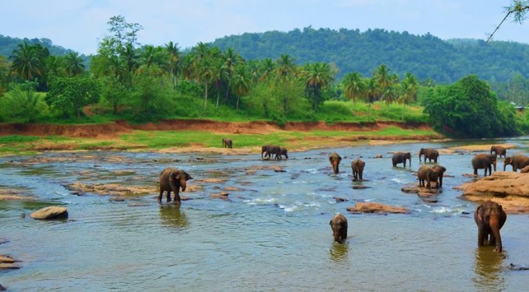 Destinatii exotice accesibile: Sri Lanka
