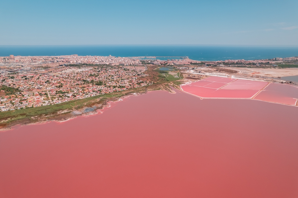 Locul 7: Parcul Natural Las Lagunas de la Mata y Torrevieja - Spania