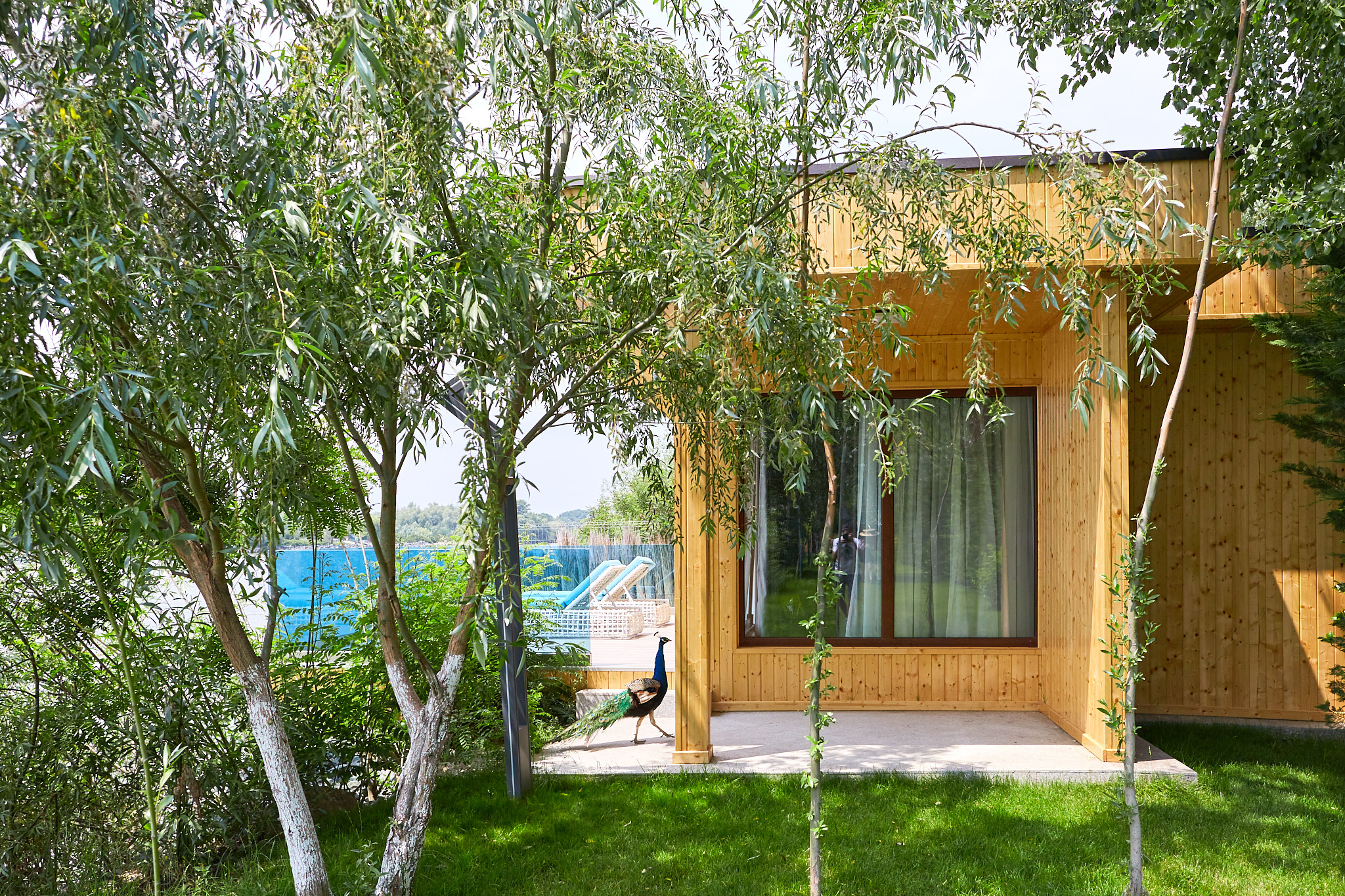 Lebăda Luxury Resort & Spa