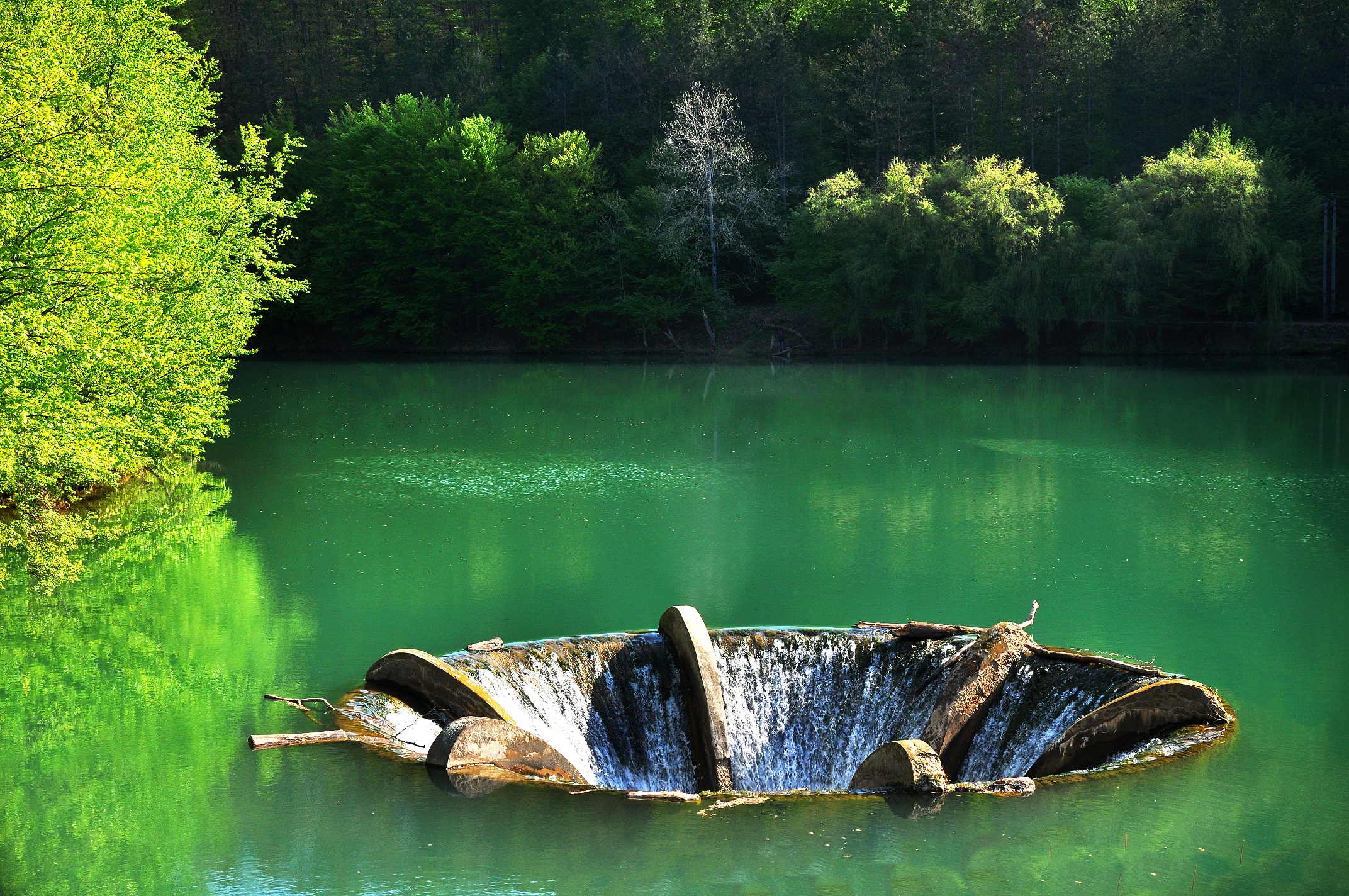 Lacul Vida