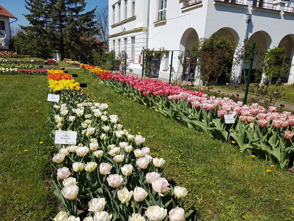 Grădina Botanică