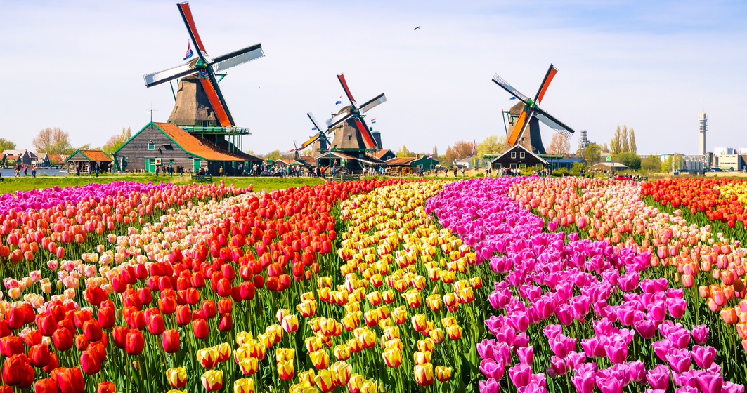 Olanda