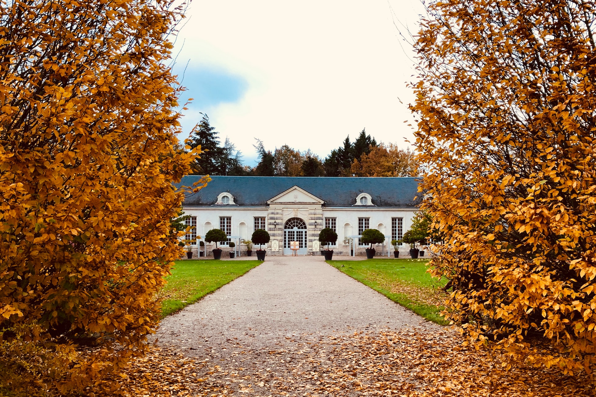 Valea Loarei, Franța