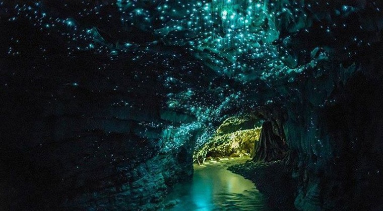 4. Pestera Waitomo Glowworm