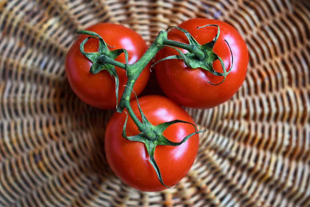 Degustare de tomate românești și brânzeturi românești asortate