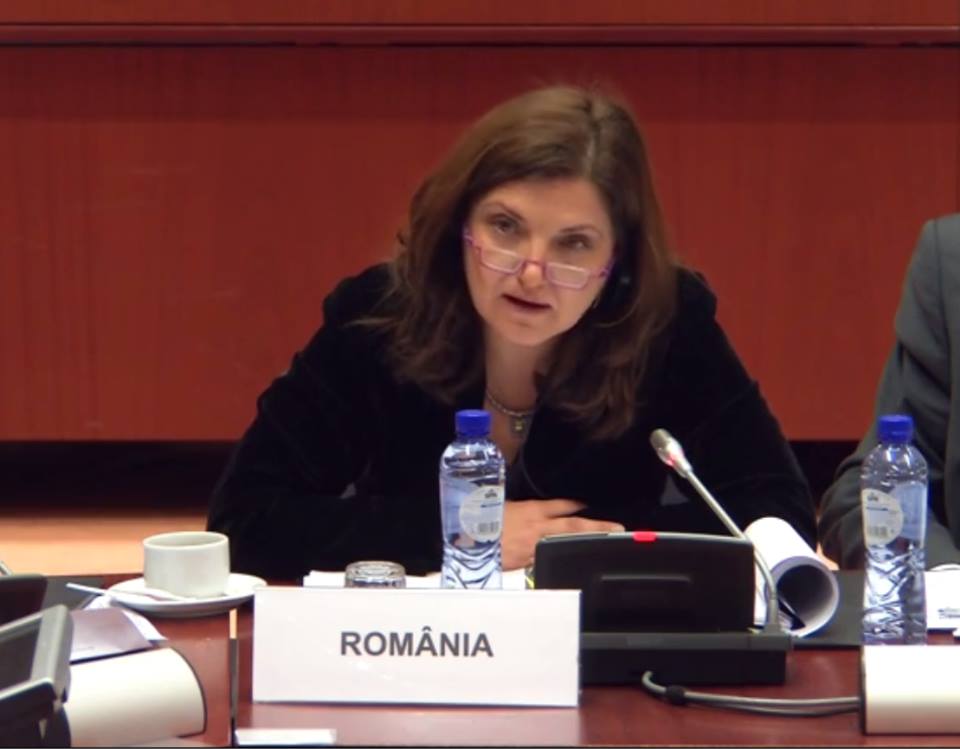 Raluca Pruna: De 23 august. Acum intoarcem armele impotriva sistemului judiciar