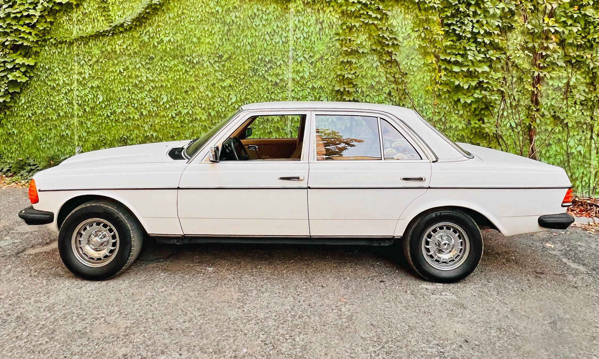 Mercedes W123 230E [1982]