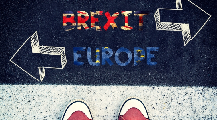 Marea Britanie intra intr-un tratat de integrare bilaterala cu UE