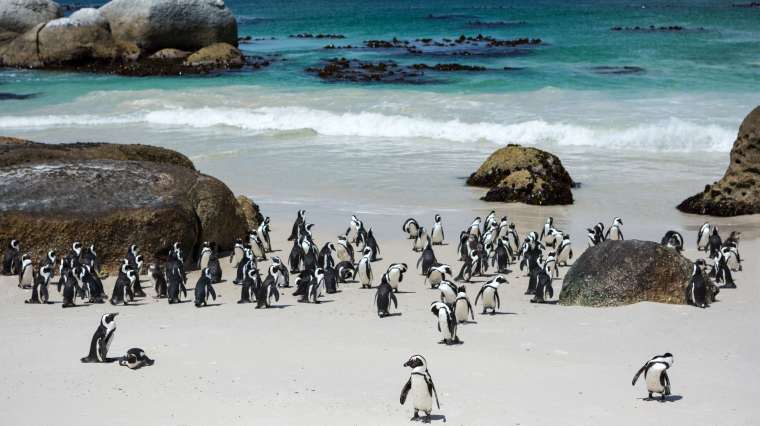 5. Africa de Sud