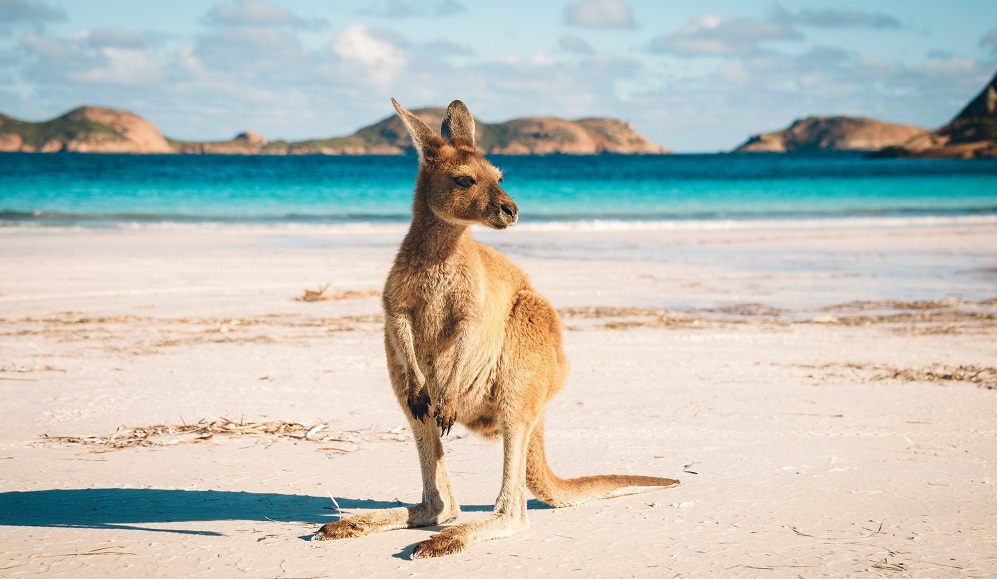 #7 Australia